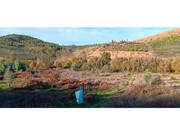 Terreno R�stico - Envendos, Ma��o, Santar�m - Miniatura: 1/9