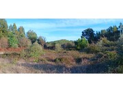 Terreno R�stico - Envendos, Ma��o, Santar�m - Miniatura: 2/9