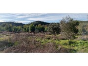 Terreno R�stico - Envendos, Ma��o, Santar�m - Miniatura: 3/9