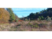 Terreno R�stico - Envendos, Ma��o, Santar�m - Miniatura: 4/9