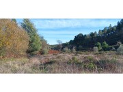 Terreno R�stico - Envendos, Ma��o, Santar�m - Miniatura: 5/9