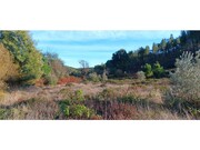 Terreno R�stico - Envendos, Ma��o, Santar�m - Miniatura: 6/9