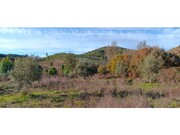Terreno R�stico - Envendos, Ma��o, Santar�m - Miniatura: 7/9