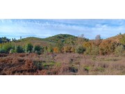 Terreno R�stico - Envendos, Ma��o, Santar�m - Miniatura: 8/9