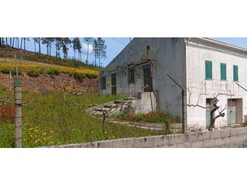 Moradia T2 - Carvoeiro, Mao, Santarm
