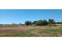 Terreno R�stico - Odi�xere, Lagos, Faro (Algarve)