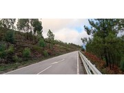 Terreno R�stico - Carvoeiro, Ma��o, Santar�m - Miniatura: 4/4
