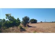 Terreno R�stico - Odi�xere, Lagos, Faro (Algarve) - Miniatura: 1/9
