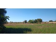 Terreno R�stico - Odi�xere, Lagos, Faro (Algarve) - Miniatura: 2/9