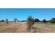 Terreno R�stico - Odi�xere, Lagos, Faro (Algarve) - Miniatura: 3/9