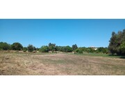 Terreno R�stico - Odi�xere, Lagos, Faro (Algarve) - Miniatura: 4/9