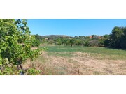 Terreno R�stico - Odi�xere, Lagos, Faro (Algarve) - Miniatura: 5/9
