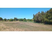 Terreno R�stico - Odi�xere, Lagos, Faro (Algarve) - Miniatura: 7/9