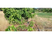 Terreno R�stico - Odi�xere, Lagos, Faro (Algarve) - Miniatura: 8/9