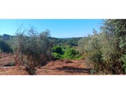 Moradia T2 - Ma��o, Ma��o, Santar�m - Miniatura: 8/9