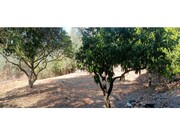 Moradia T2 - Ma��o, Ma��o, Santar�m - Miniatura: 9/9