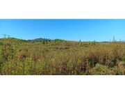 Terreno R�stico - Belver, Gavi�o, Portalegre - Miniatura: 1/4
