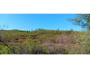 Terreno R�stico - Belver, Gavi�o, Portalegre - Miniatura: 2/4