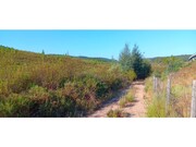 Terreno R�stico - Belver, Gavi�o, Portalegre - Miniatura: 3/4