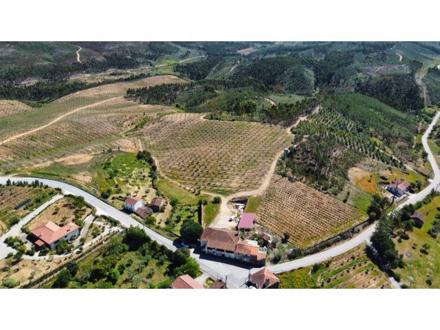 Quinta > T6 - Carvoeiro, Ma��o, Santar�m - Imagem grande