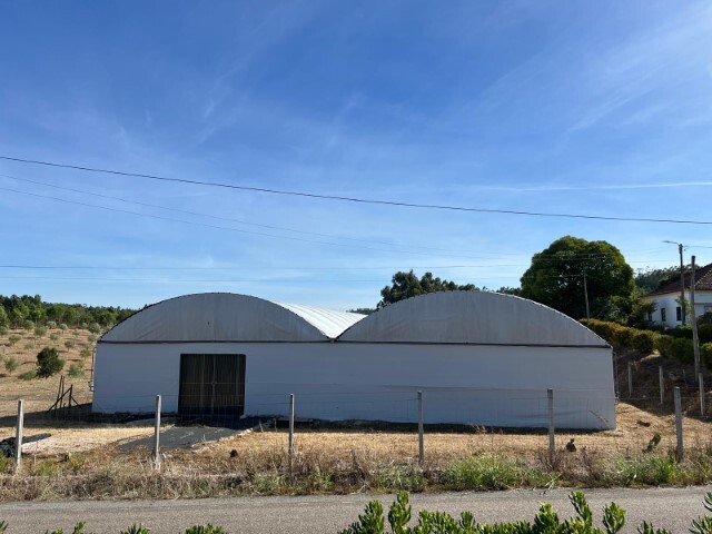 Terreno R�stico - Alcaravela, Sardoal, Santar�m - Imagem grande