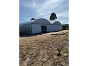 Terreno R�stico - Alcaravela, Sardoal, Santar�m - Miniatura: 2/9