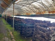 Terreno R�stico - Alcaravela, Sardoal, Santar�m - Miniatura: 7/9