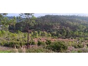 Terreno R�stico - Ma��o, Ma��o, Santar�m - Miniatura: 1/3
