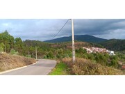 Terreno R�stico - Ma��o, Ma��o, Santar�m - Miniatura: 2/3