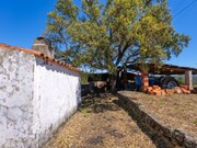 Moradia T3 - Carvoeiro, Ma��o, Santar�m - Miniatura: 2/9