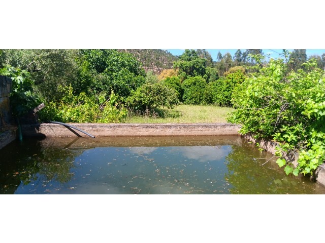 Terreno R�stico - Ma��o, Ma��o, Santar�m - Imagem grande