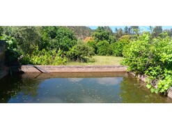 Terreno R�stico - Ma��o, Ma��o, Santar�m