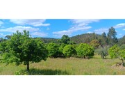 Terreno R�stico - Ma��o, Ma��o, Santar�m - Miniatura: 1/9