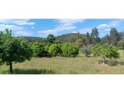 Terreno R�stico - Ma��o, Ma��o, Santar�m - Miniatura: 3/9