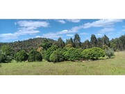 Terreno R�stico - Ma��o, Ma��o, Santar�m - Miniatura: 4/9