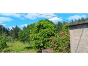 Terreno R�stico - Ma��o, Ma��o, Santar�m - Miniatura: 6/9