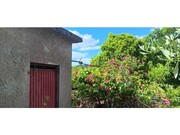 Terreno R�stico - Ma��o, Ma��o, Santar�m - Miniatura: 7/9