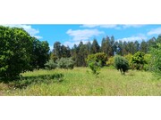 Terreno R�stico - Ma��o, Ma��o, Santar�m - Miniatura: 8/9