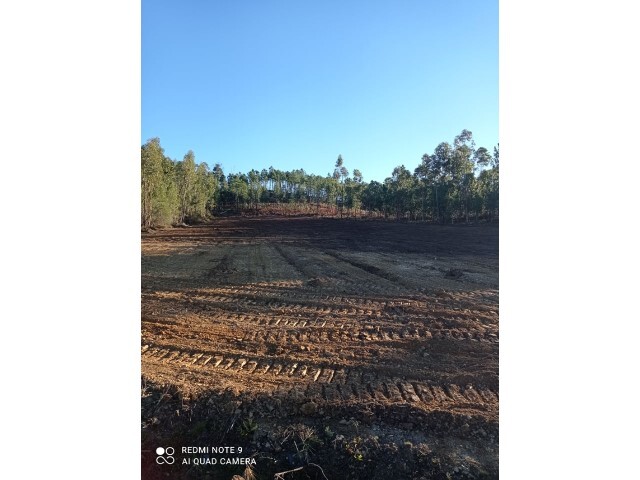 Terreno R�stico - Ma��o, Ma��o, Santar�m - Imagem grande