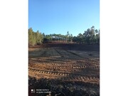 Terreno R�stico - Ma��o, Ma��o, Santar�m