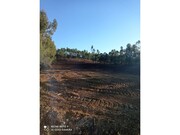 Terreno R�stico - Ma��o, Ma��o, Santar�m - Miniatura: 3/6