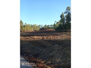 Terreno R�stico - Ma��o, Ma��o, Santar�m - Miniatura: 4/6