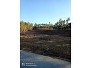 Terreno R�stico - Ma��o, Ma��o, Santar�m - Miniatura: 5/6