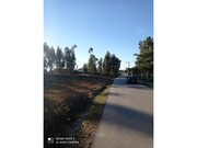 Terreno R�stico - Ma��o, Ma��o, Santar�m - Miniatura: 6/6
