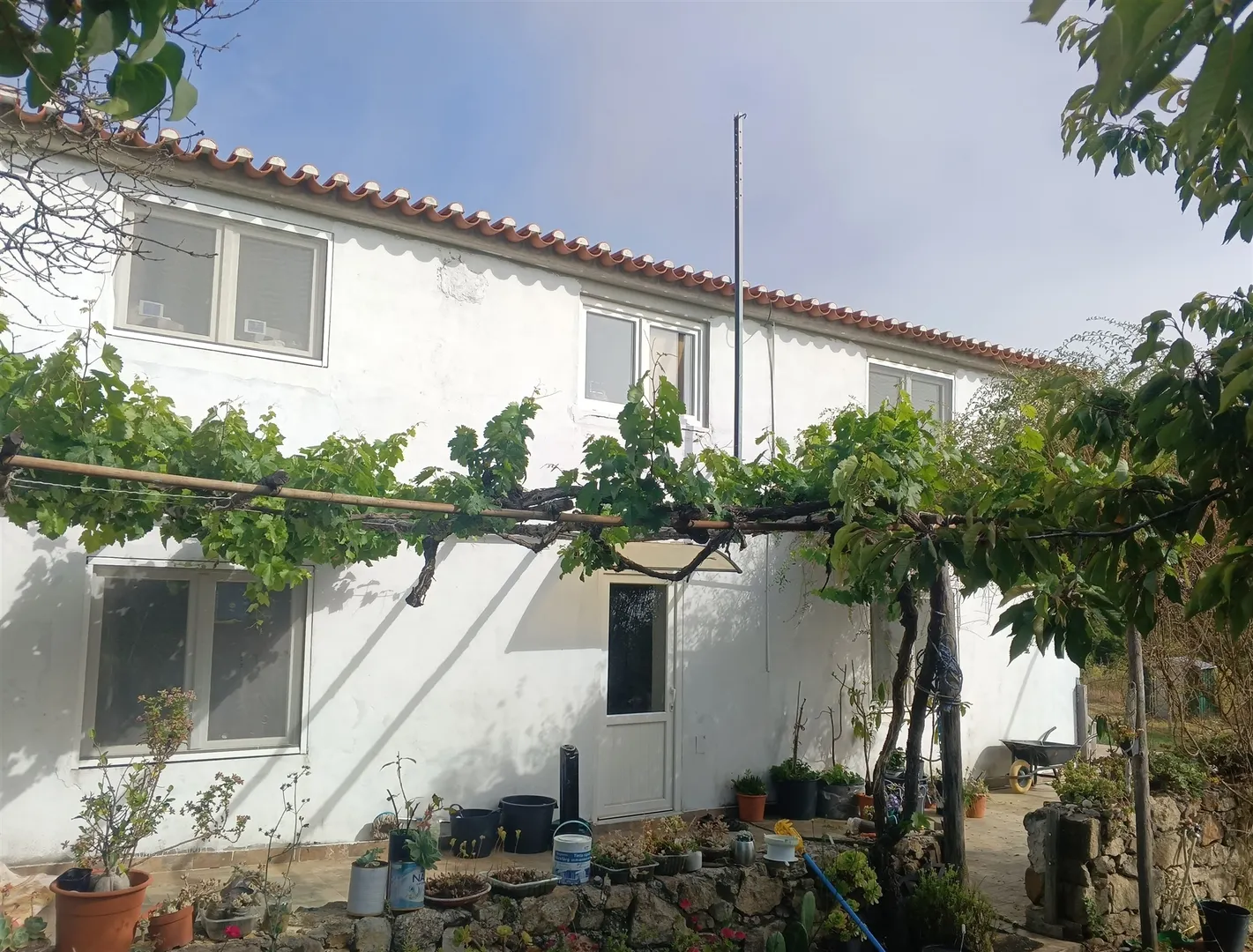 Quinta T0 - S, Portalegre, Portalegre