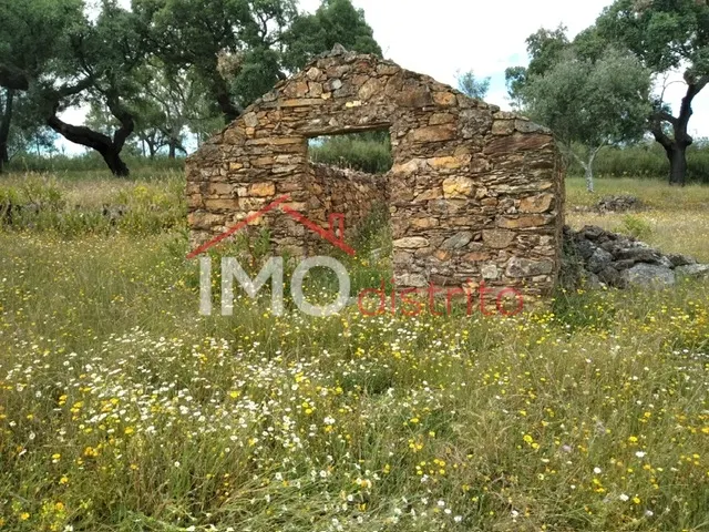Quinta T0 - Alegrete, Portalegre, Portalegre - Miniatura: 8/9