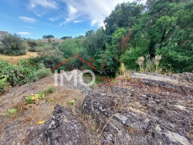 Quinta T0 - Reguengo, Portalegre, Portalegre - Miniatura: 9/9