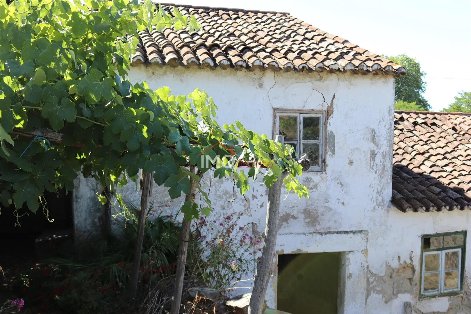 Quinta > T6 - So Joo Batista, Castelo de Vide, Portalegre - Miniatura: 1/9
