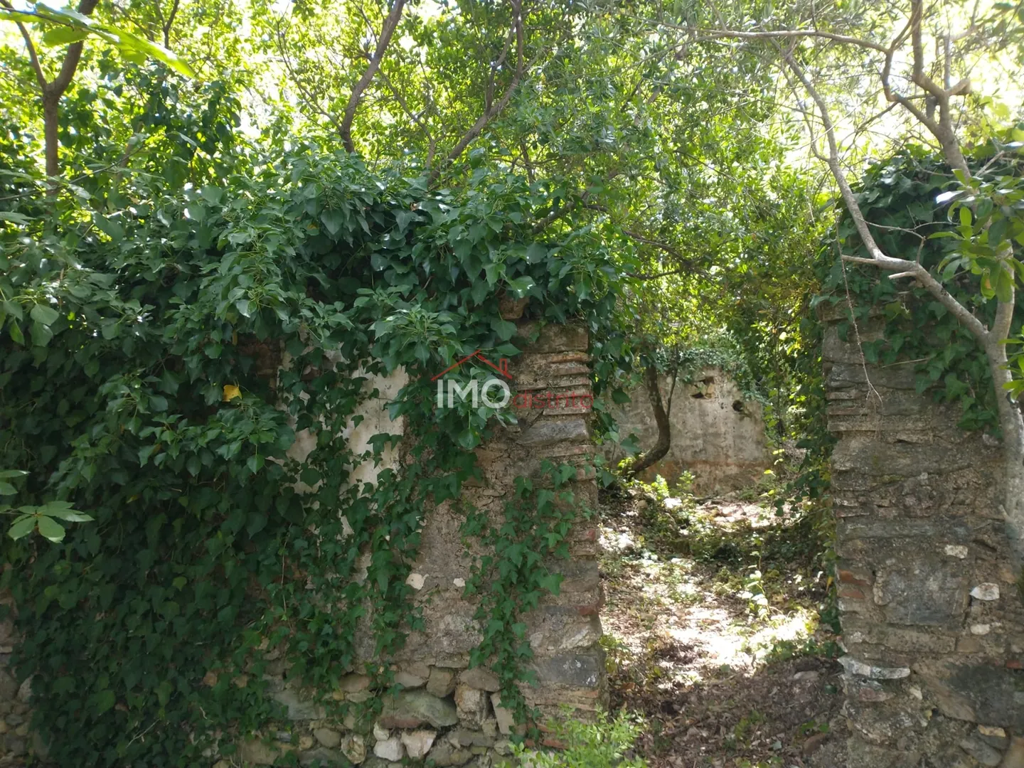 Quinta T0 - S, Portalegre, Portalegre - Miniatura: 6/9
