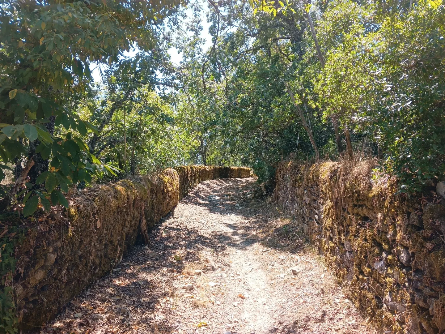 Quinta T0 - S, Portalegre, Portalegre - Miniatura: 8/9